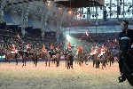 Cavalry - 00258